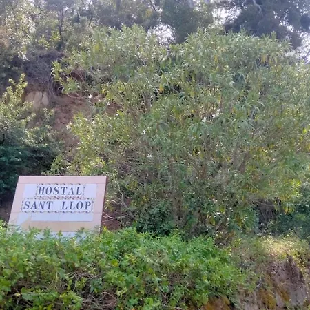 Hostal Sant Llop 여관